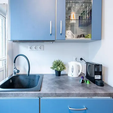 Backyard - Quiet Sleep - Sunny