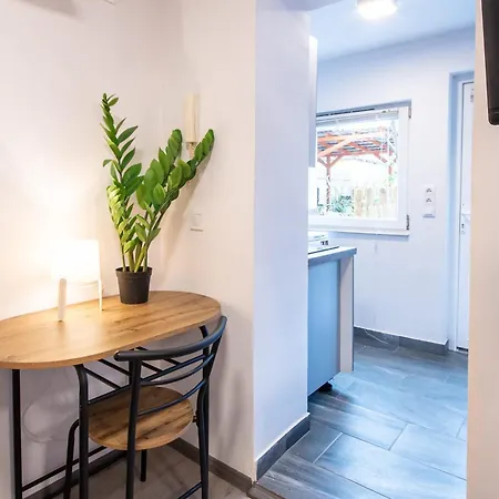 Backyard - Quiet Sleep - Sunny