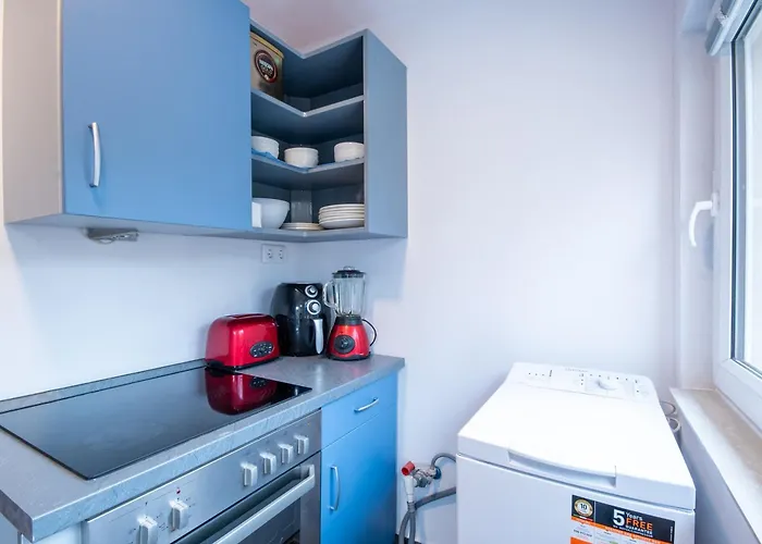 Backyard - Quiet Sleep - Sunny *