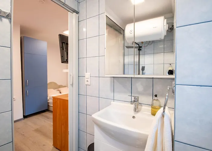 Backyard - Quiet Sleep - Sunny *