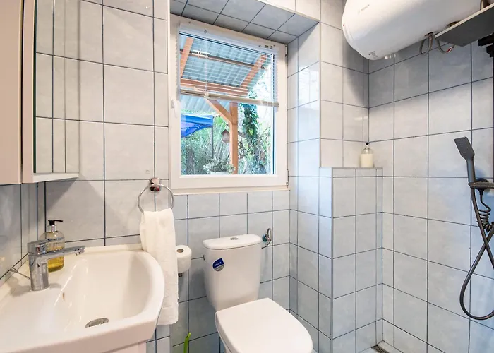 Backyard - Quiet Sleep - Sunny Budapest