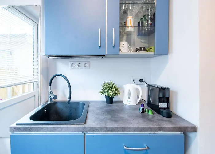 Backyard - Quiet Sleep - Sunny