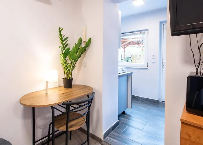 Backyard - Quiet Sleep - Sunny